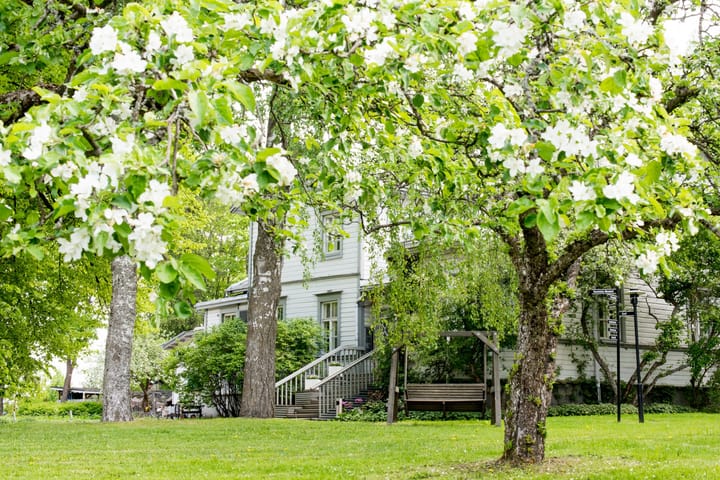 TERVETULOA RANTATIEN ASUKASILTAAN KRAPIHOVIN YLÄKERTAAN 3.6.2025 KLO 18.30!